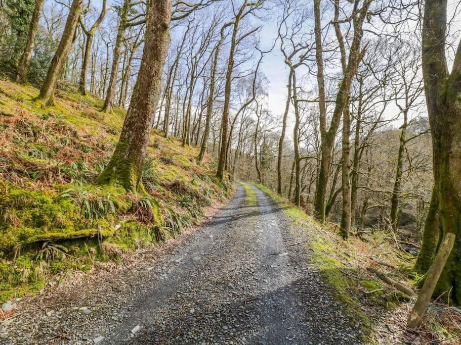 فيلا Y Cwtch - Panoramic Mountain Views Within Snowdonia'S National Park - 4X4 Recommended دولغيلوو المظهر الخارجي الصورة