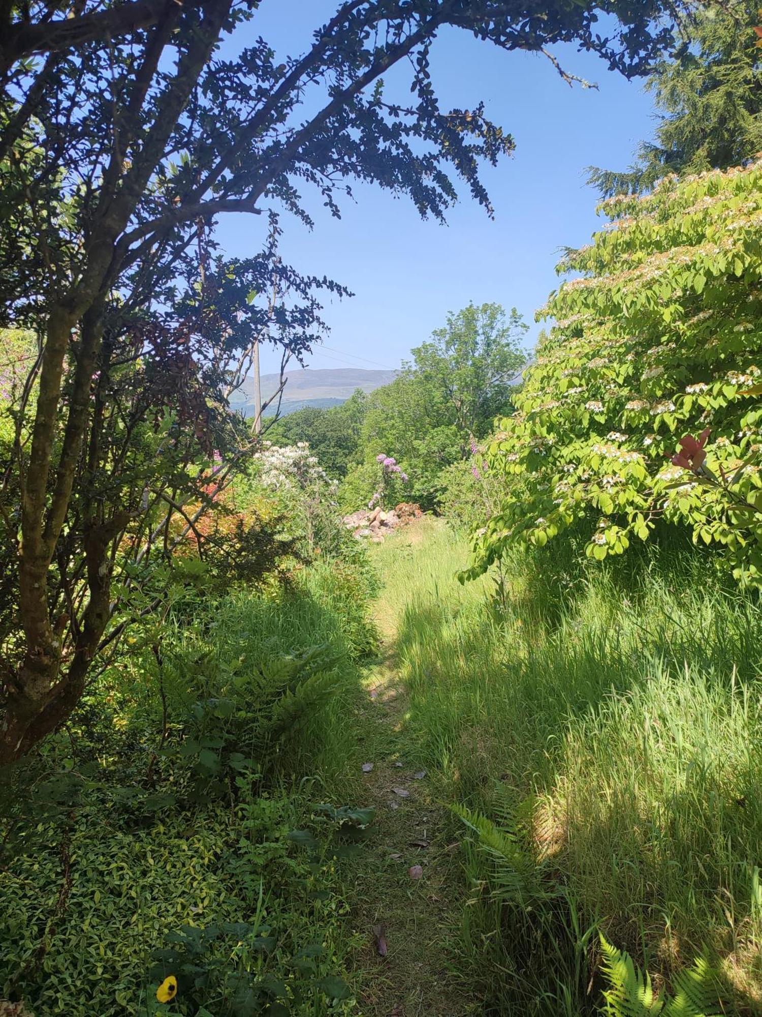فيلا Y Cwtch - Panoramic Mountain Views Within Snowdonia'S National Park - 4X4 Recommended دولغيلوو المظهر الخارجي الصورة