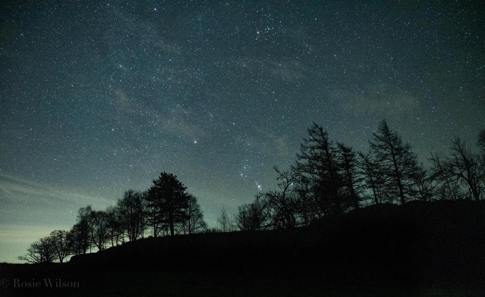 فيلا Y Cwtch - Panoramic Mountain Views Within Snowdonia'S National Park - 4X4 Recommended دولغيلوو المظهر الخارجي الصورة
