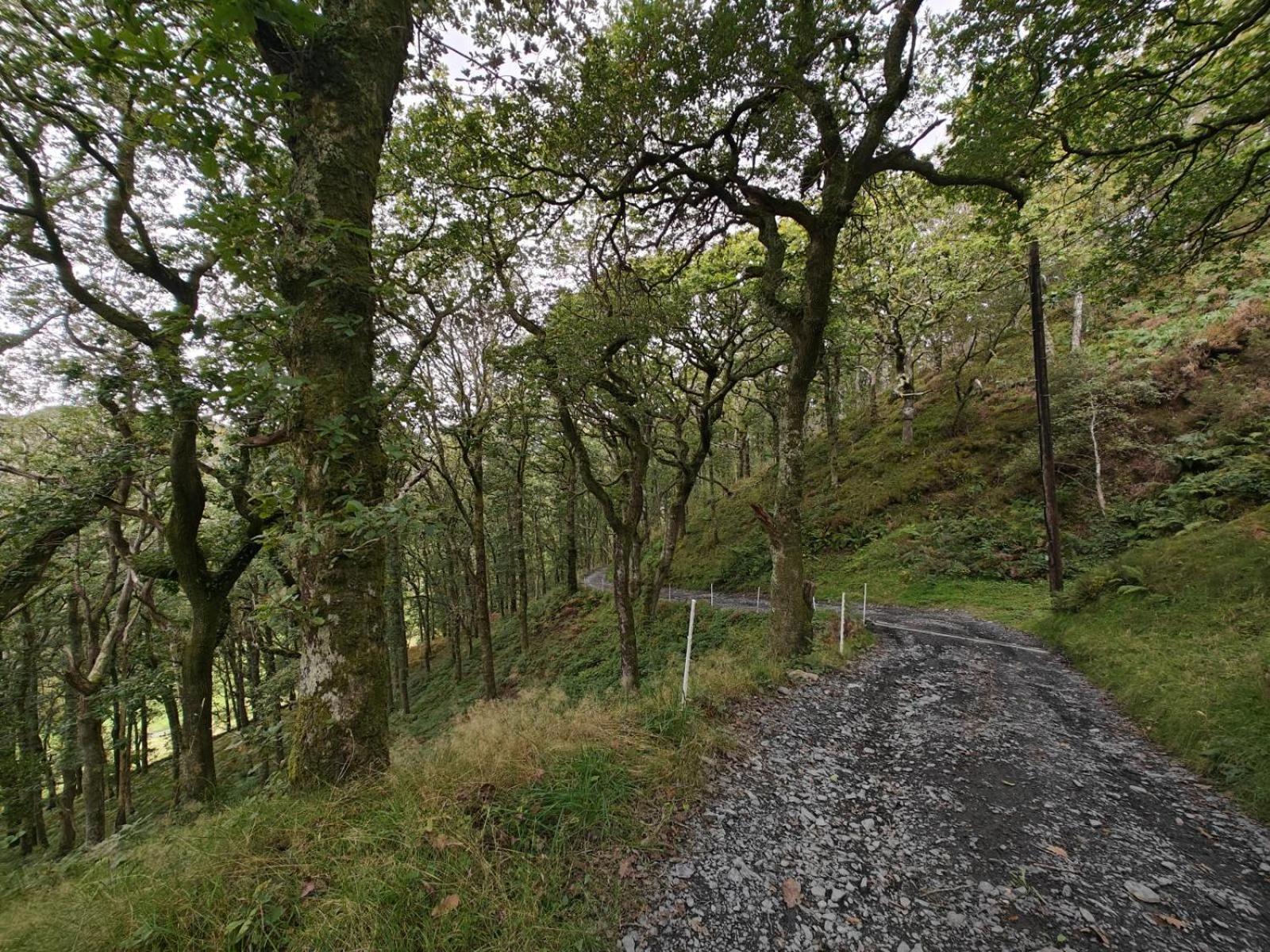 فيلا Y Cwtch - Panoramic Mountain Views Within Snowdonia'S National Park - 4X4 Recommended دولغيلوو المظهر الخارجي الصورة